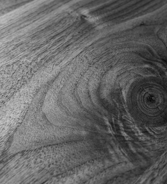 Close-up wood grain texture